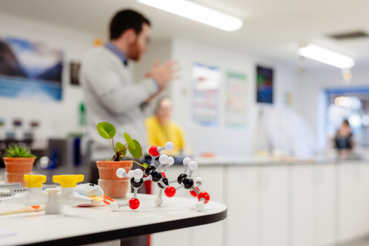 What will you learn?