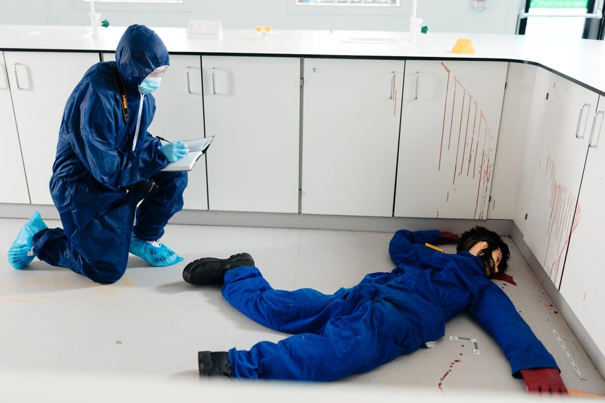 What will you learn?