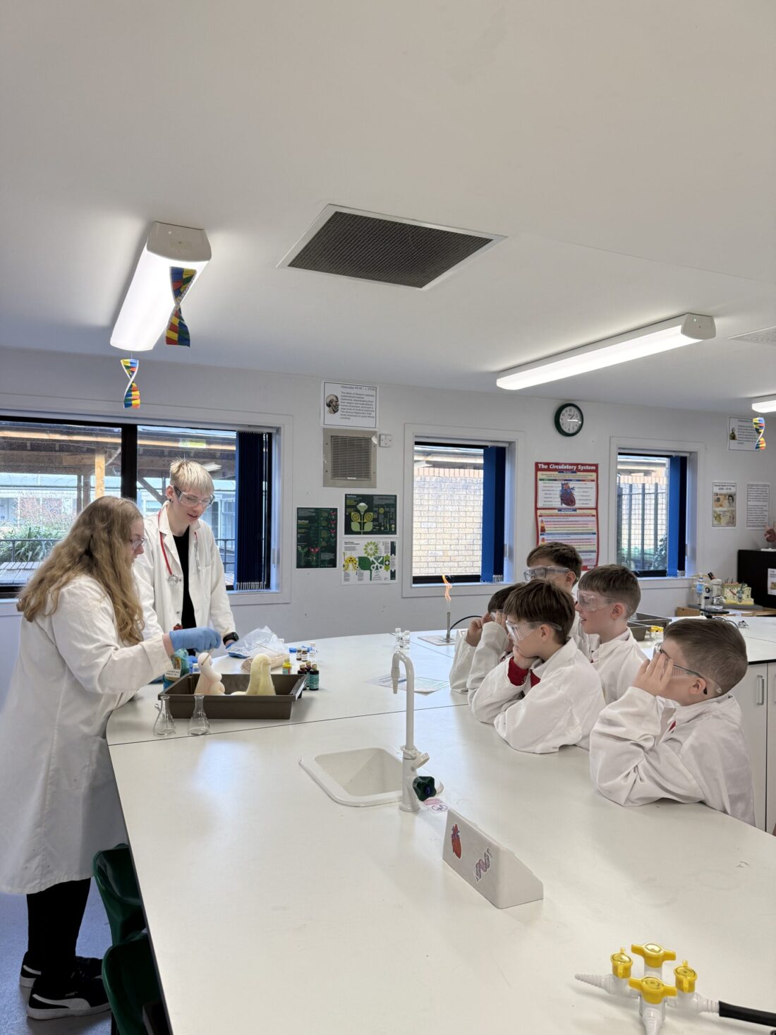 STEM Skills: